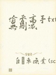 偷香高手txt无删减封面