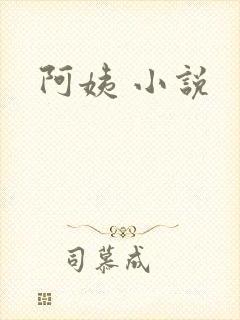 阿姨 小说封面