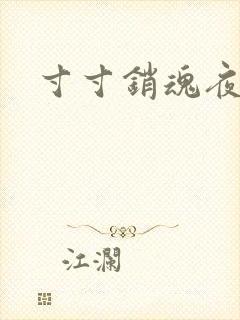 寸寸销魂夜春光