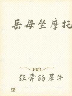 岳母坐摩托封面