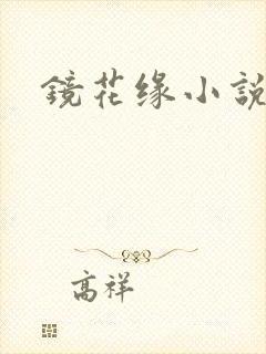 镜花缘小说