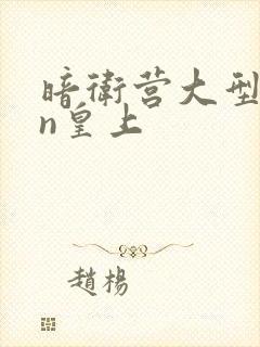 暗卫营大型hpn皇上封面