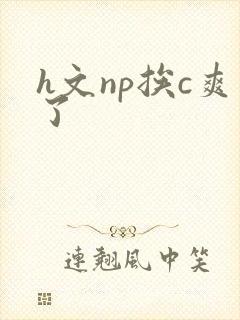 h文np挨c爽了