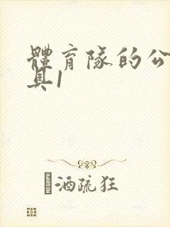 体育队的公用玩具1