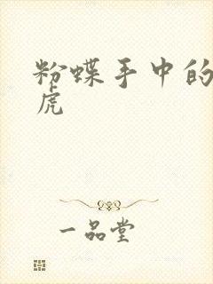 粉蝶手中的纸老虎