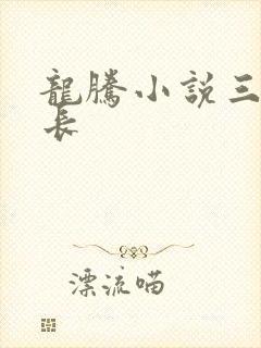 龙腾小说三宝局长