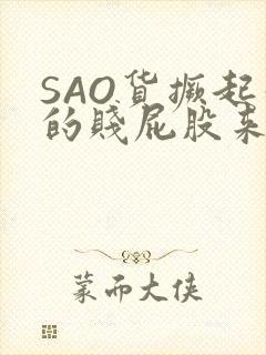 SAO货撅起你的贱屁股来