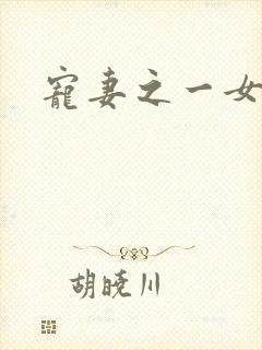 宠妻之一女二夫