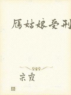 雁姑娘受刑记封面