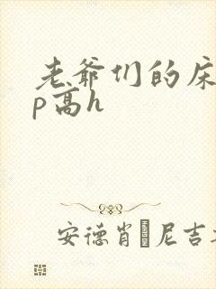 老爷们的床奴np高h