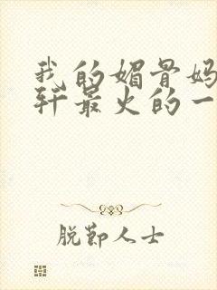 我的媚骨妈妈林轩最火的一句封面