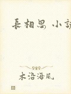长相思 小说