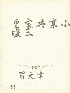 皇家共享小公主暖玉封面