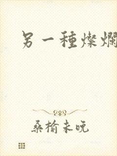 另一种灿烂生活