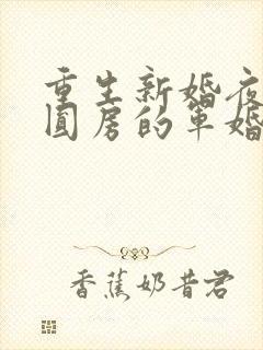 重生新婚夜正在圆房的军婚