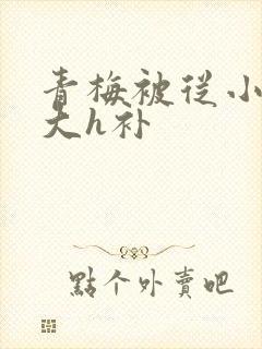 青梅被从小摸到大h补封面