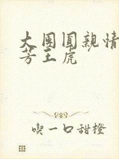 大团圆亲情会王芳王虎封面