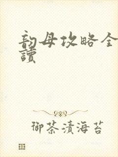 韵母攻略全文阅读