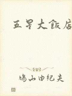 五星大饭店小说封面