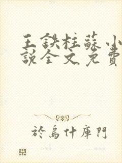 王铁柱苏小汐小说全文免费阅读最新章节封面