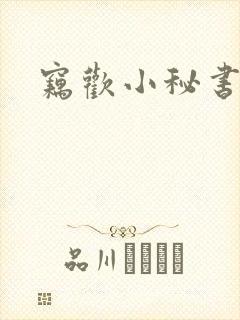 窃欢小秘书封面