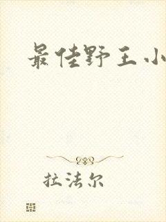 最佳野王小说封面