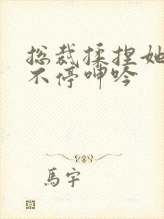 总裁揉捏她两乳不停呻吟