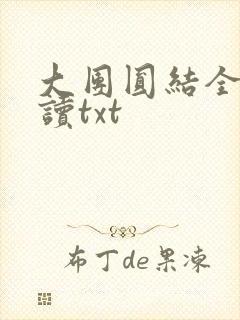 大团圆结全文阅读txt