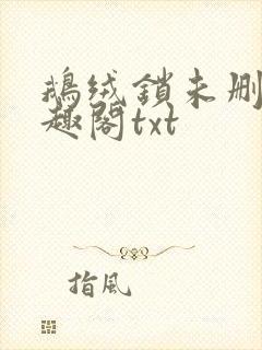 鹅绒锁未删除笔趣阁txt