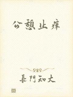 公憩止痒封面