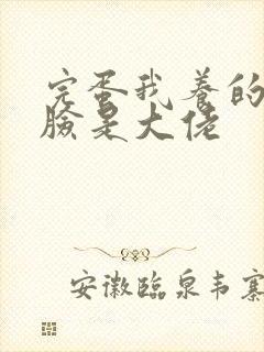 完蛋我养的小白脸是大佬