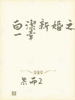 白洁新婚之夜第一章封面