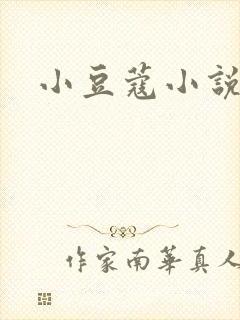 小豆蔻小说