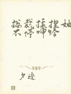 总裁揉捏她两乳不停呻吟