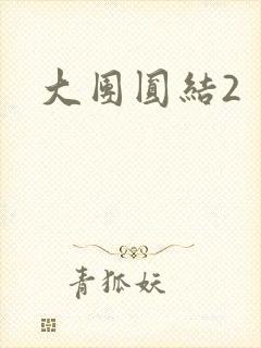 大团圆结2