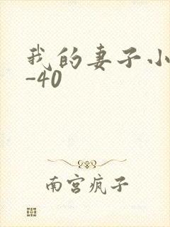 我的妻子小谨1-40