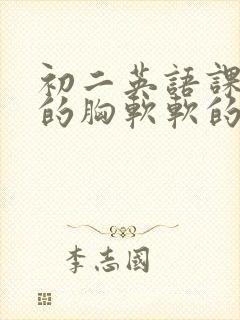 初二英语课代表的胸软软的封面