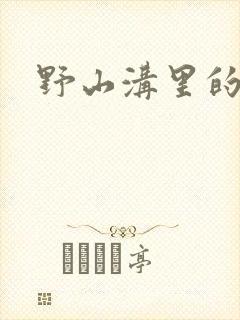 野山沟里的村庄