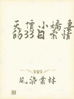 天价小娇妻总裁的33日索情