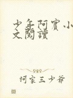 少年阿宾小说全文阅读封面