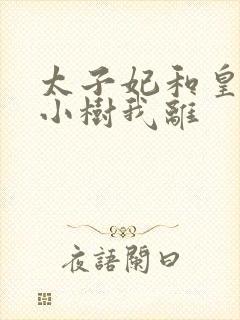 太子妃和皇上在小树我离封面