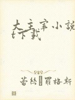 大主宰小说txt下载