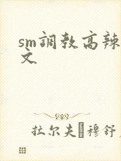 sm调教高辣h文