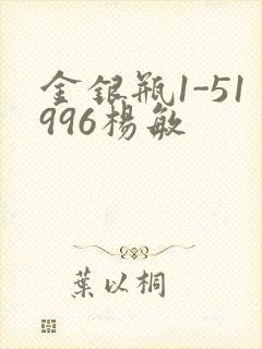 金银瓶1-51996杨敏封面