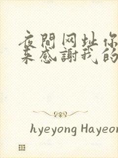 夜间网址你会回来感谢我的