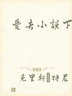 爱去小说下载网