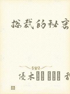 总裁的秘密情人