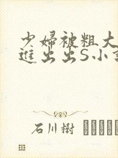 少妇被粗大猛进进出出S小说封面