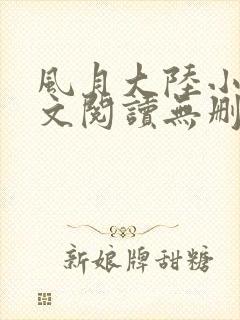 风月大陆小说全文阅读无删减封面