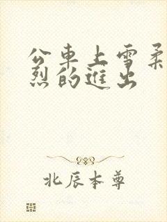 公车上雪柔被猛烈的进出